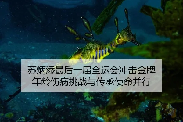 苏炳添最后一届全运会冲击金牌 年龄伤病挑战与传承使命并行