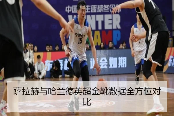 sa-la-he-yu-ha-lan-de-ying-chao-jin-xue-shu-ju-quan-fang-wei-dui-bi-2-324.jpg