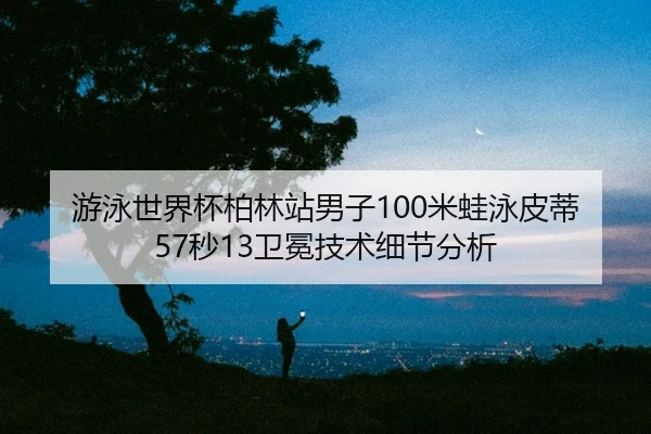 you-yong-shi-jie-bei-bo-lin-zhan-nan-zi-mi-wa-yong-pi-di-miao-wei-mian-ji-shu-xi-jie-fen-xi-2-558.jpg