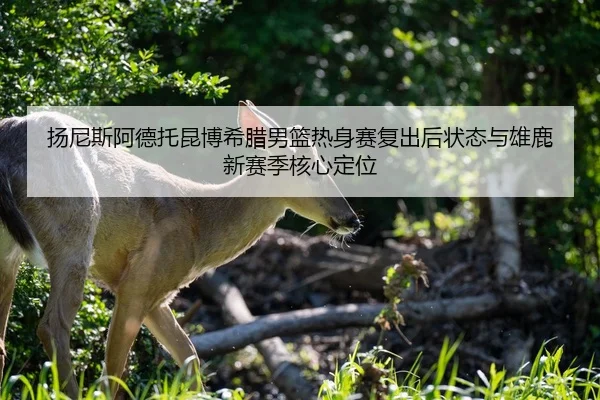 yang-ni-si-a-de-tuo-kun-bo-xi-la-nan-lan-re-shen-sai-fu-chu-hou-zhuang-tai-yu-xiong-lu-xin-sai-ji-he-xin-ding-wei-3-241.jpg